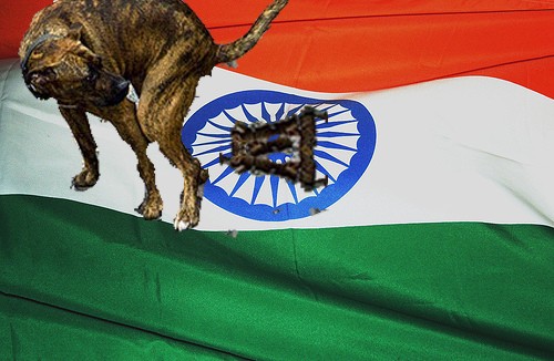 indian-flag.jpg.opt500x326o0,0s500x326.jpg